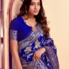 Jacquard Saree Everyday Elegance Collection ( Royal Blue, OS )