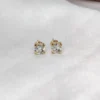 Premium Trendy Stud Earrings Set of 14 – Fashion-Forward Jewellery Collection for Women & Girls ( default, 14 )